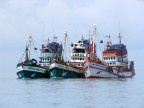 Ao Chalong Purse Seiners.JPG (83 KB)